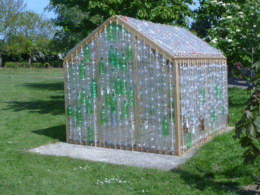 A Bottle Greenhouse